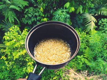 High angle view of food