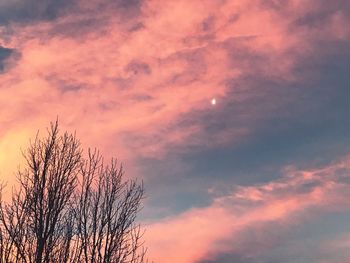 Silhouette tree against sky during sunset