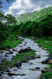 Stream flowing through rocks