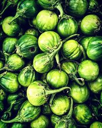 Full frame shot of fresh green chili peppers