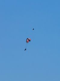 Low angle view of people paragliding against clear blue sky