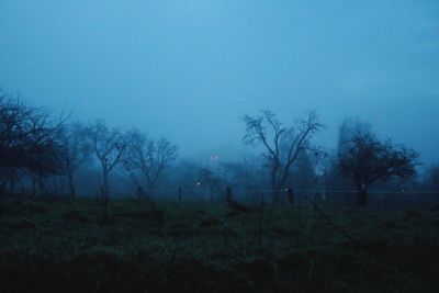 Trees on field against sky