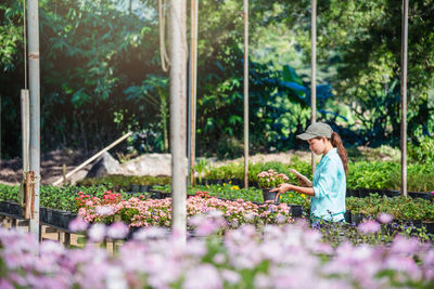 Side view of woman looking at flowering plants