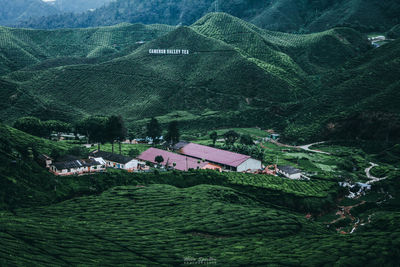 High angle view of houses amidst trees and buildings