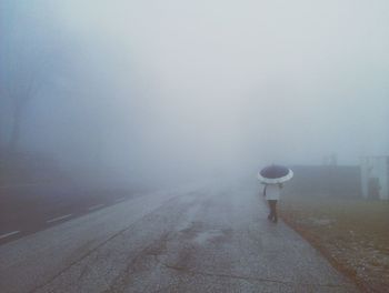 Road in foggy weather