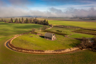 Scenic view of agricultural field against sky