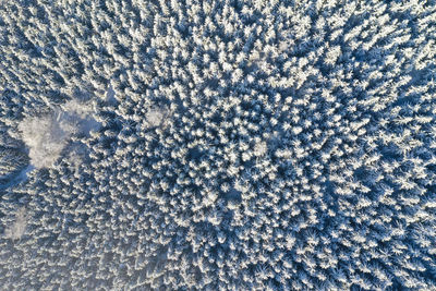 Full frame shot of snowflakes on snow