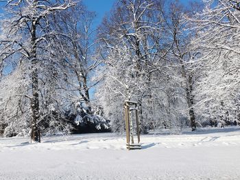 Bare trees on snow covered field