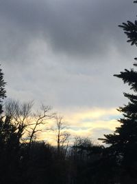 Silhouette of trees against cloudy sky