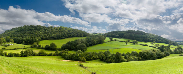 Scenic view of green landscape against sky