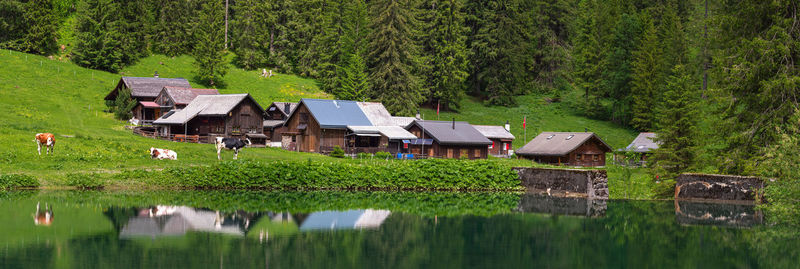 Houses in lake