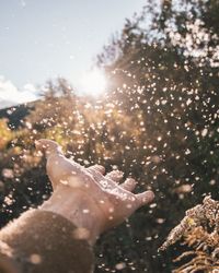 Close-up of hand feeding by water against sky