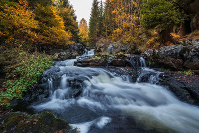 Scenic view of waterfall in forest