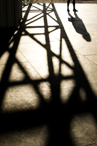 Shadow of tree on the wall