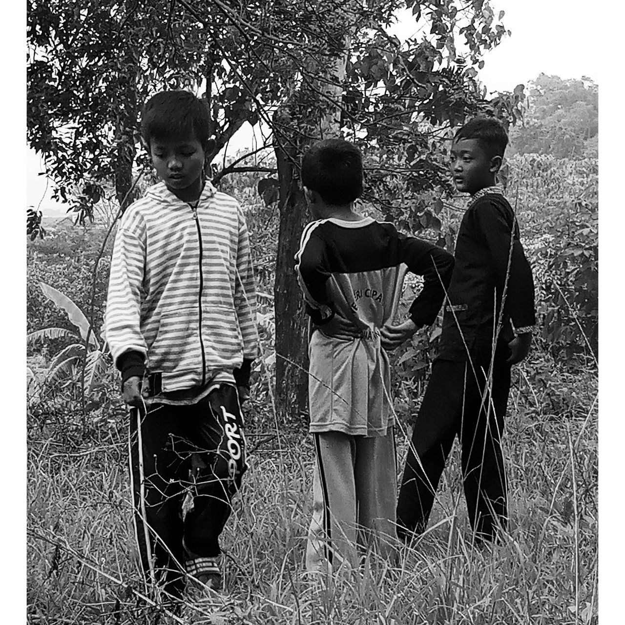 black and white, men, monochrome photography, rear view, plant, group of people, nature, monochrome, transfer print, child, day, adult, togetherness, casual clothing, auto post production filter, childhood, small group of people, lifestyles, tree, outdoors, friendship, person, leisure activity, full length, grass, women, standing, field, bonding