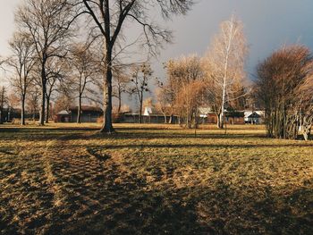 Bare trees on field against sky