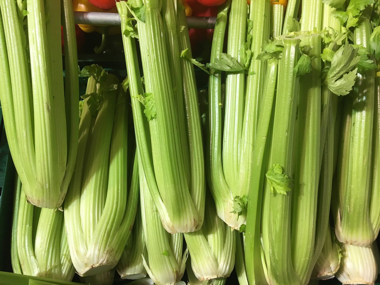 CLOSE-UP OF VEGETABLES