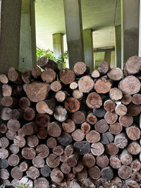 timber