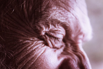 Close up of woman's hands