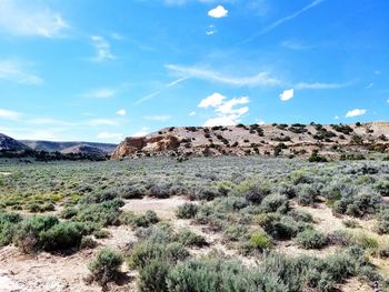 Scenic view of land against sky