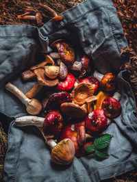 Dish with forest mushrooms and herbs. high quality photo