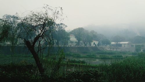 Idyllic landscape in macao