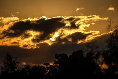 Low angle view of silhouette trees against sky