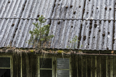 Low angle view of old house roof against building