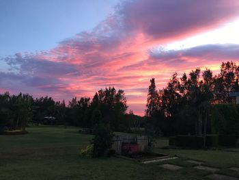 Scenic view of grassy field against sky at sunset