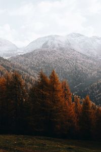 Scenic view of mountains against sky during autumn