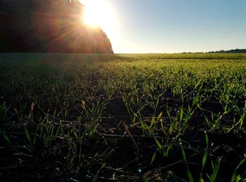 View of fields against clear sky