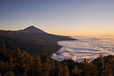 Landscape with volcano pico de teide above clouds at dusk. tenerife, canary islands, spain.