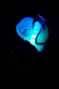 Close-up of blue over black background