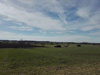 Scenic view of field against sky