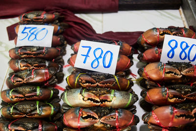Fresh sea crabs tied up for sale in the seafood market