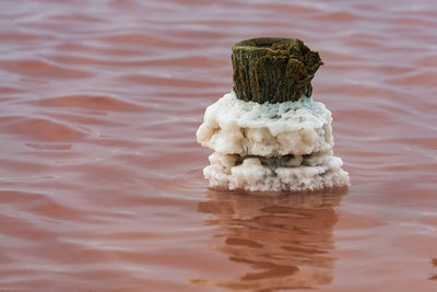 Close-up of a rock in lake