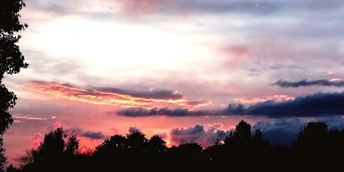 Low angle view of silhouette trees against sky during sunset