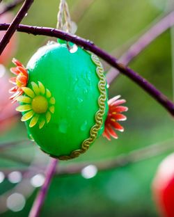 Close-up of fresh green leaf