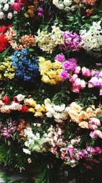 Close-up of multi colored flowers for sale in market