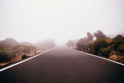 Empty road along trees against sky