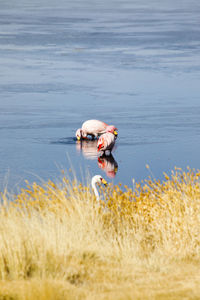 Side view of man surfing in sea