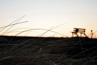 Close-up of barbed wire against clear sky