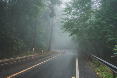 Road amidst trees in forest