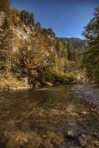 Scenic view of lake in forest against sky during autumn