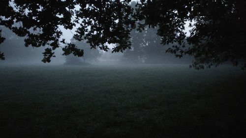 Trees on field against sky