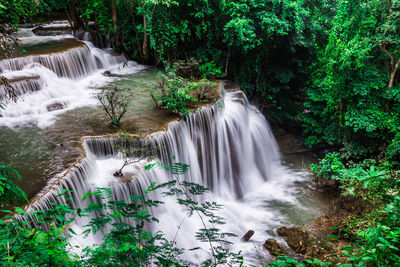 Scenic view of waterfall in forest