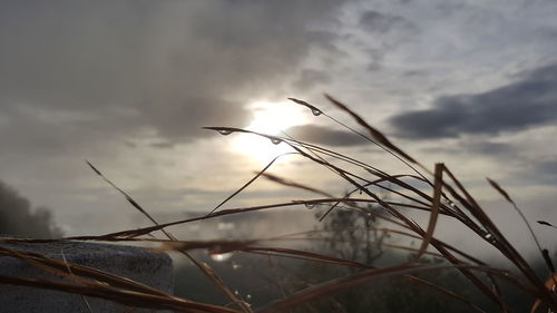 Cloudy sky at sunset