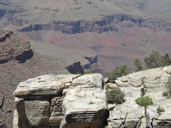 Scenic view of landscape