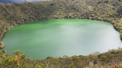 High angle view of lake in forest