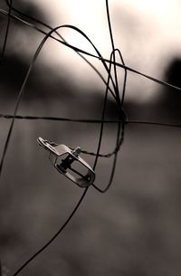 Close-up of barbed wire